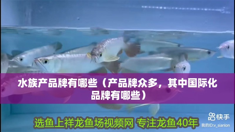 水族產(chǎn)品牌有哪些（產(chǎn)品牌眾多，其中國際化品牌有哪些）