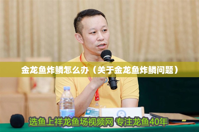 金龍魚炸鱗怎么辦（關(guān)于金龍魚炸鱗問題）
