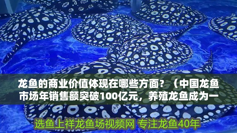 龍魚的商業價值體現在哪些方面？（中國龍魚市場年銷售額突破100億元，養殖龍魚成為一種掙錢方式） 龍魚的商業價值體現在哪些方面？（中國龍魚市場年銷售額突破100億元，養殖龍魚成為一種掙錢方式） 觀賞魚百科 第2張
