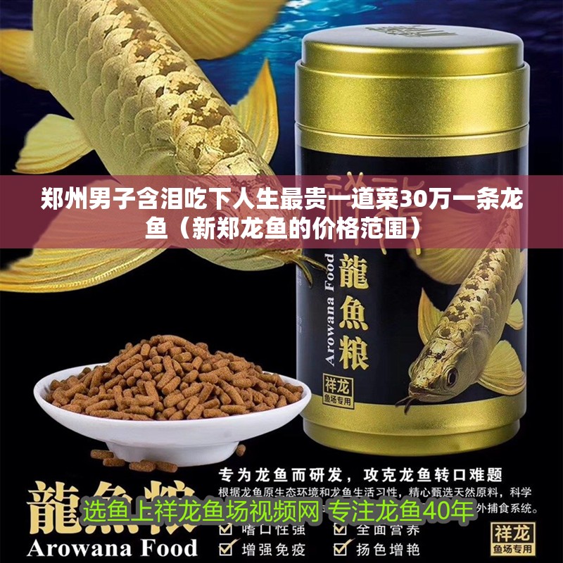 鄭州男子含淚吃下人生最貴一道菜30萬一條龍魚（新鄭龍魚的價格范圍）