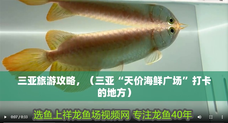 三亞旅游攻略，（三亞“天價(jià)海鮮廣場”打卡的地方）