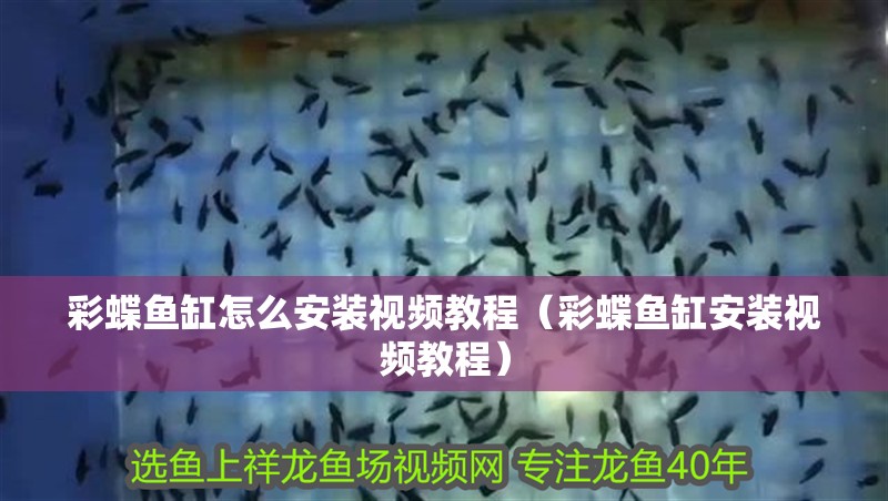 彩蝶魚(yú)缸怎么安裝視頻教程（彩蝶魚(yú)缸安裝視頻教程）