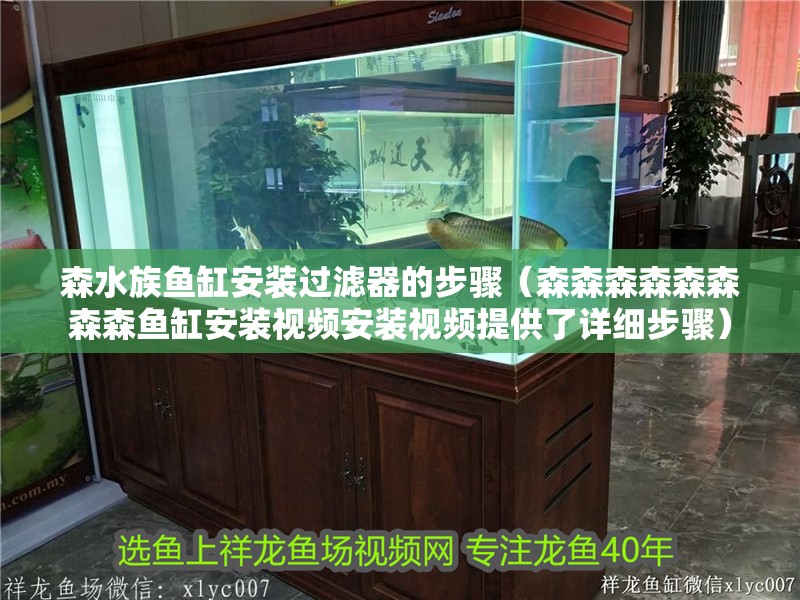 森水族魚缸安裝過濾器的步驟（森森森森森森森森魚缸安裝視頻安裝視頻提供了詳細步驟）