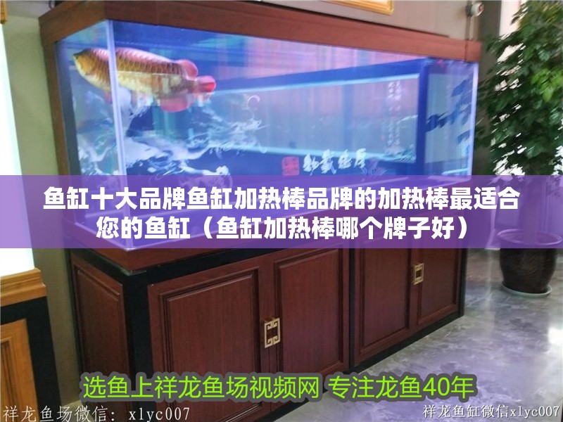 魚(yú)缸十大品牌魚(yú)缸加熱棒品牌的加熱棒最適合您的魚(yú)缸（魚(yú)缸加熱棒哪個(gè)牌子好）