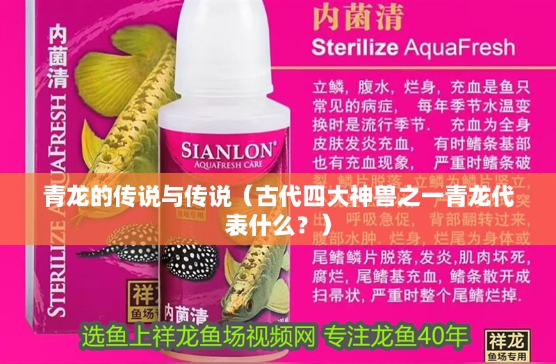 青龍的傳說與傳說（古代四大神獸之一青龍代表什么？）