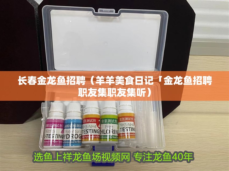長春金龍魚招聘（羊羊美食日記「金龍魚招聘職友集職友集聽）