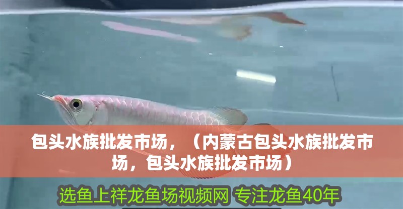 包頭水族批發市場，（內蒙古包頭水族批發市場，包頭水族批發市場）