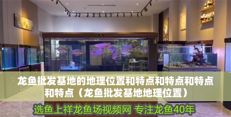 龍魚批發基地的地理位置和特點和特點和特點和特點（龍魚批發基地地理位置）