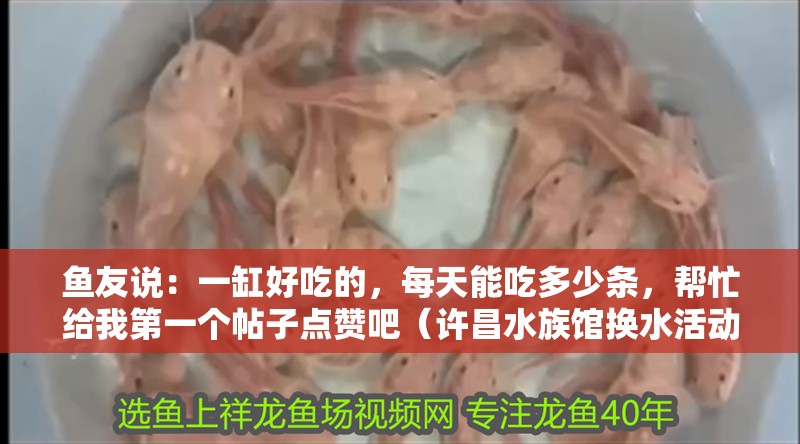 魚友說：一缸好吃的，每天能吃多少條，幫忙給我第一個帖子點贊吧（許昌水族館換水活動）