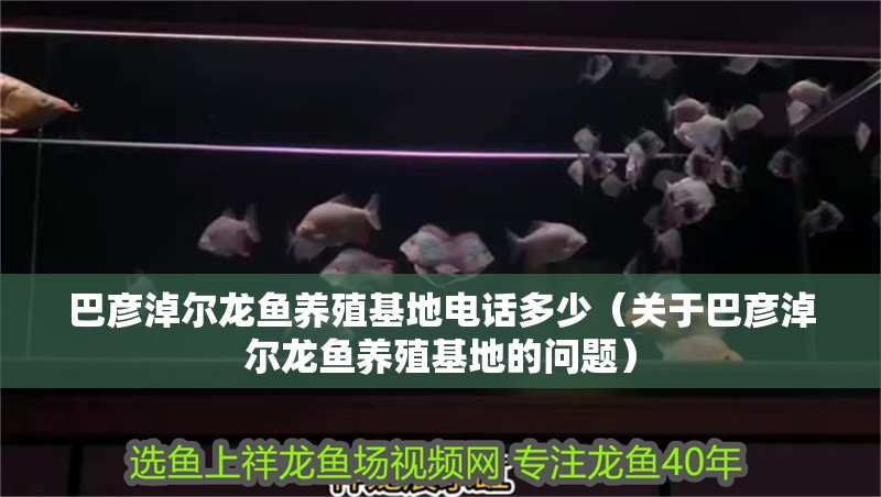 巴彥淖爾龍魚(yú)養(yǎng)殖基地電話多少（關(guān)于巴彥淖爾龍魚(yú)養(yǎng)殖基地的問(wèn)題）