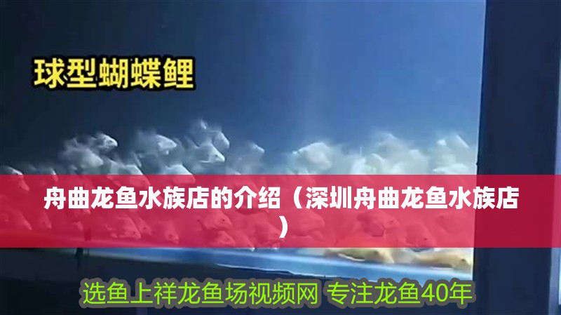 <strong><mark>舟曲</mark></strong>龍魚水族店的介紹（深圳<strong><mark>舟曲</mark></strong>龍魚水族店）