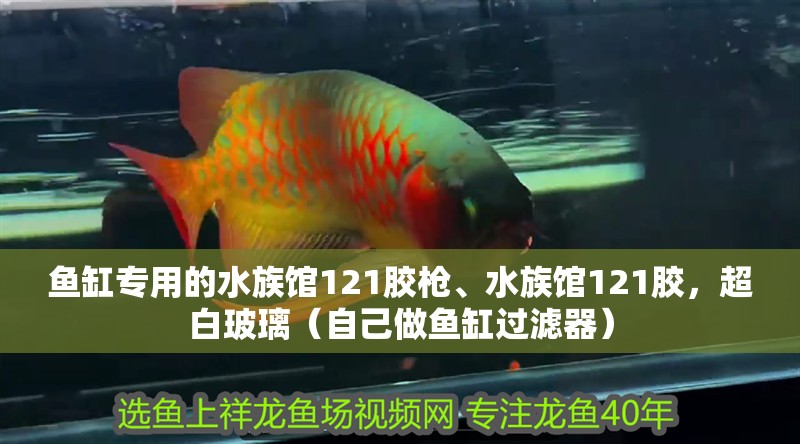 魚缸專用的水族館121膠槍、水族館121膠，超白玻璃（自己做魚缸過濾器）