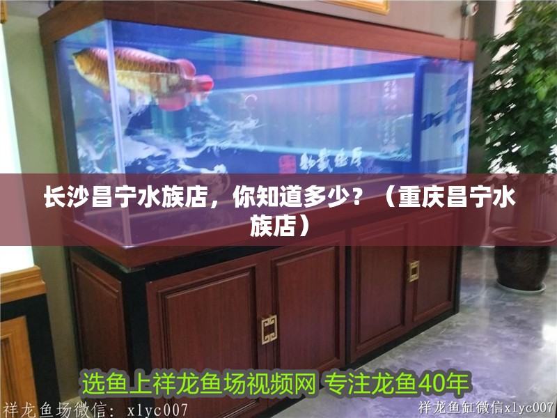 長沙昌寧水族店，你知道多少？（重慶昌寧水族店）