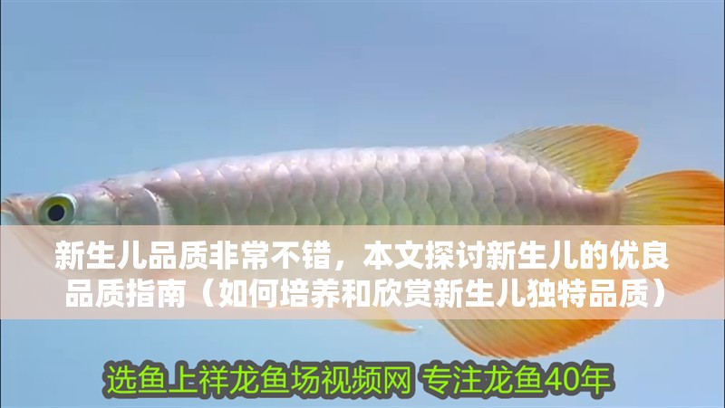 新生兒品質非常不錯，本文探討新生兒的優良品質指南（如何培養和欣賞新生兒獨特品質）