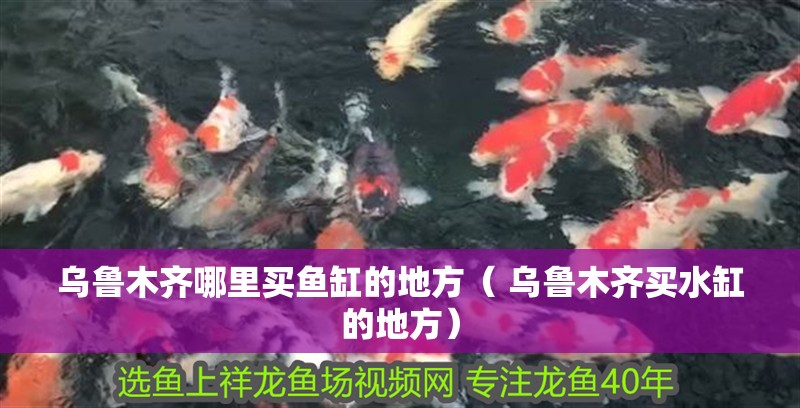 烏魯木齊哪里買魚缸的地方（ 烏魯木齊買水缸的地方）