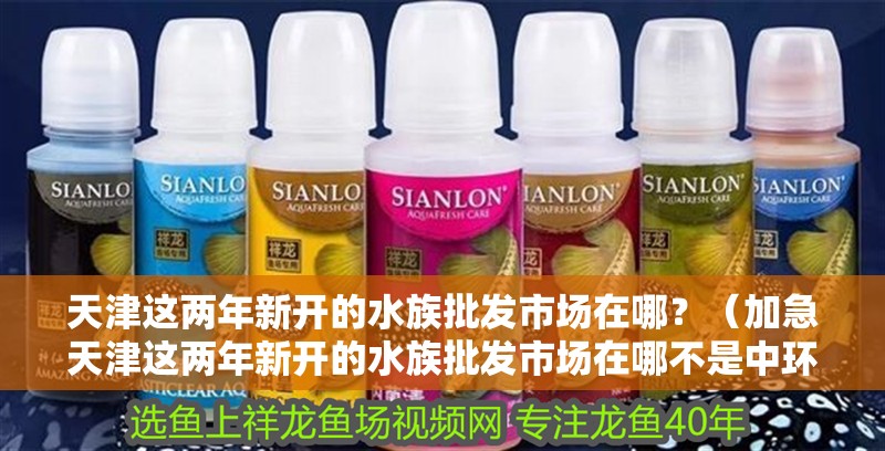 天津這兩年新開的水族批發市場在哪？（加急天津這兩年新開的水族批發市場在哪不是中環的謝謝） 天津這兩年新開的水族批發市場在哪？（加急天津這兩年新開的水族批發市場在哪不是中環的謝謝） 觀賞魚百科