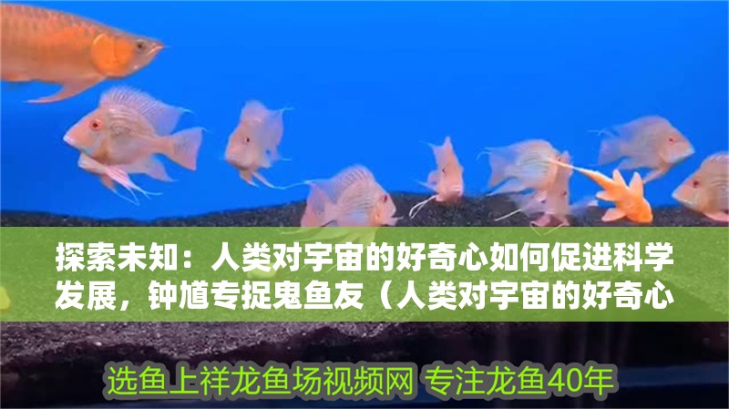 探索未知：人類對宇宙的好奇心如何促進科學發展，鐘馗專捉鬼魚友（人類對宇宙的好奇心與科學進步）