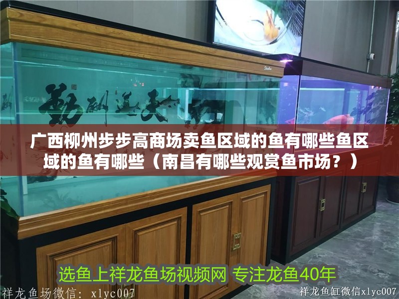 廣西柳州步步高商場賣魚區域的魚有哪些魚區域的魚有哪些（南昌有哪些觀賞魚市場？）
