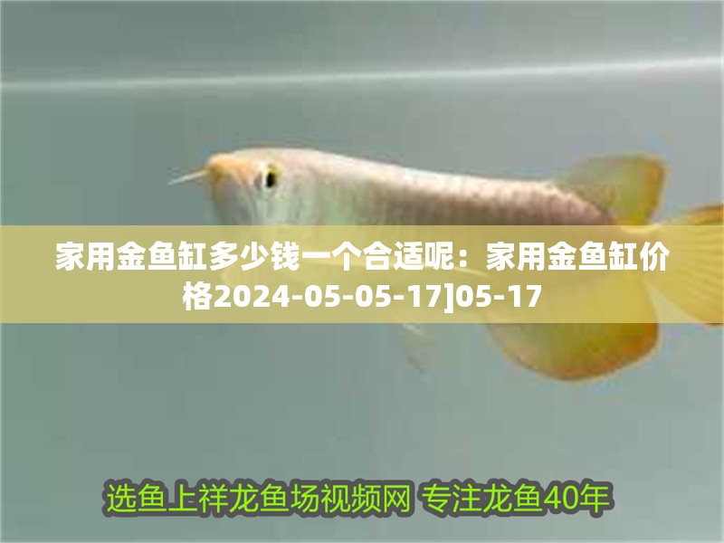 家用金魚缸多少錢一個合適呢：家用金魚缸價格2024-05-05-17]05-17