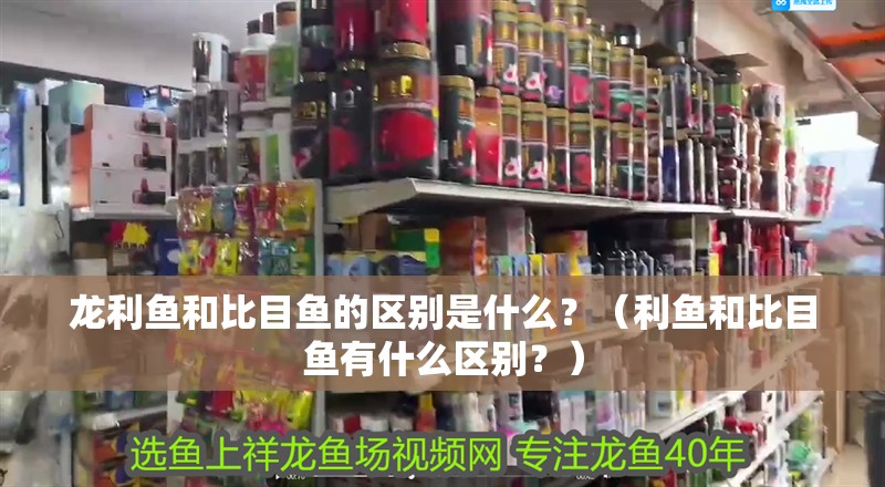 龍利魚和比目魚的區別是什么？（利魚和比目魚有什么區別？）