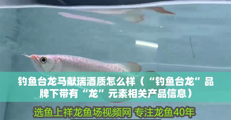 釣魚臺龍馬獻瑞酒質怎么樣（“釣魚臺龍”品牌下帶有“龍”元素相關產(chǎn)品信息） 釣魚臺龍馬獻瑞酒質怎么樣（“釣魚臺龍”品牌下帶有“龍”元素相關產(chǎn)品信息） 觀賞魚百科 第4張