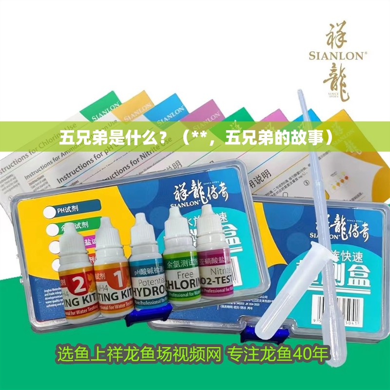 五兄弟是什么？（**，五兄弟的故事）