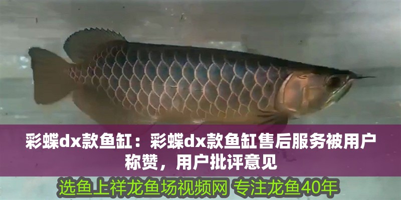 彩蝶dx款魚缸：彩蝶dx款魚缸售后服務被用戶稱贊，用戶批評意見