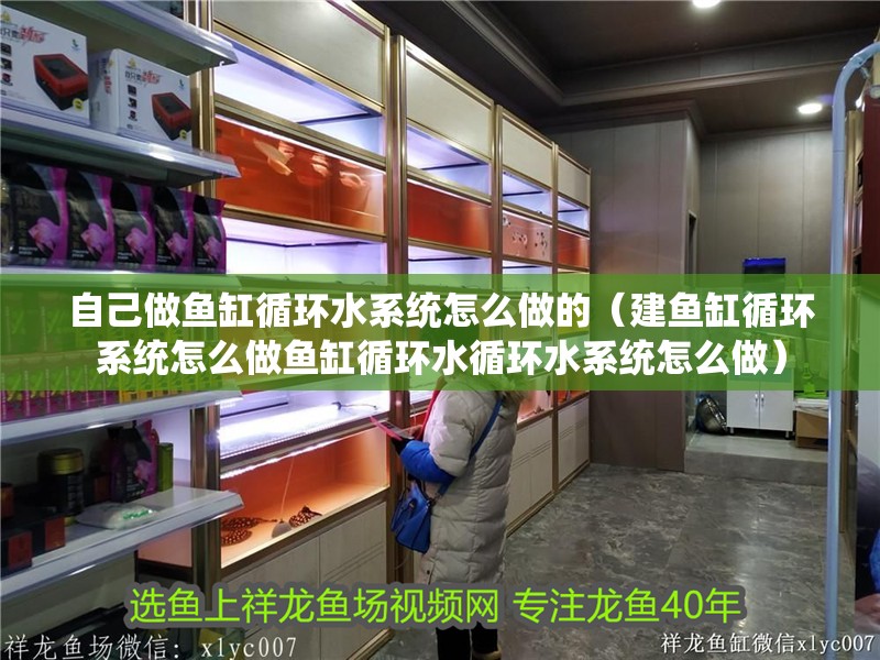 自己做魚缸循環(huán)水系統(tǒng)怎么做的（建魚缸循環(huán)系統(tǒng)怎么做魚缸循環(huán)水循環(huán)水系統(tǒng)怎么做）