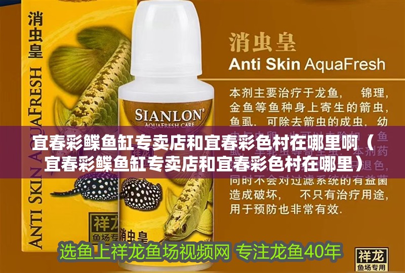 宜春彩鰈魚缸專賣店和宜春彩色村在哪里啊（宜春彩鰈魚缸專賣店和宜春彩色村在哪里）