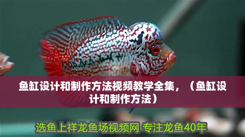 魚缸設計和制作方法視頻教學全集，（魚缸設計和制作方法）