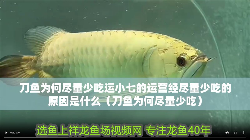 刀魚為何盡量少吃運小七的運營經盡量少吃的原因是什么（刀魚為何盡量少吃）