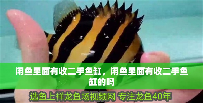 閑魚里面有收二手魚缸，閑魚里面有收二手魚缸的嗎