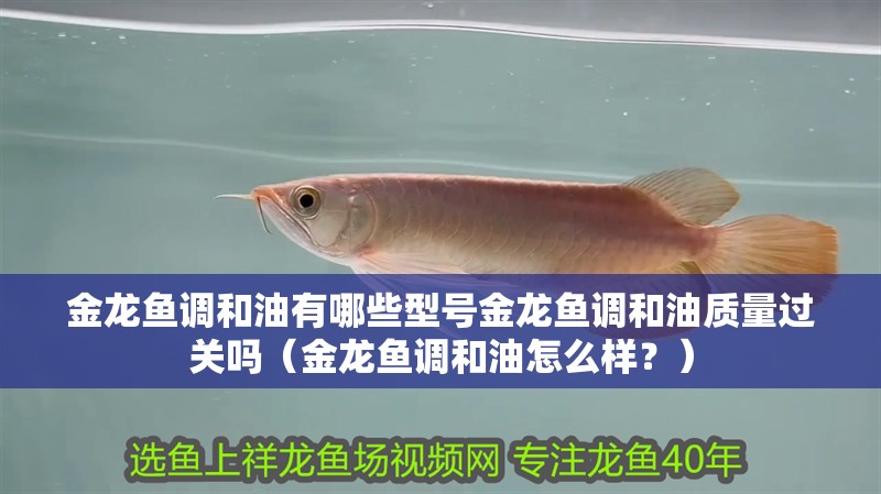 金龍魚(yú)調(diào)和油有哪些型號(hào)金龍魚(yú)調(diào)和油質(zhì)量過(guò)關(guān)嗎（金龍魚(yú)調(diào)和油怎么樣？）