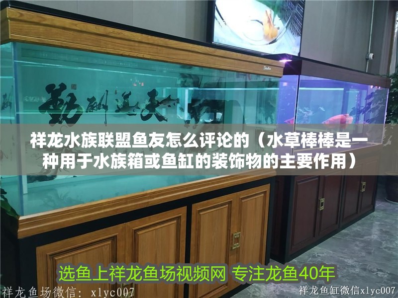 祥龍水族聯盟魚友怎么評論的（水草棒棒是一種用于水族箱或魚缸的裝飾物的主要作用）