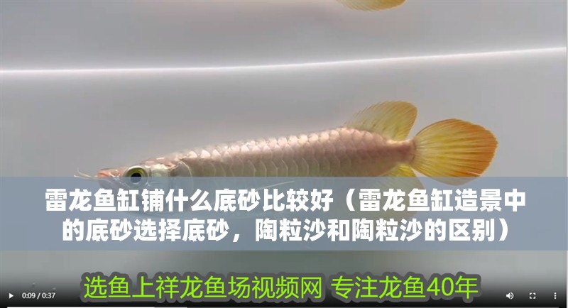 雷龍魚缸鋪什么底砂比較好（雷龍魚缸造景中的底砂選擇底砂，陶粒沙和陶粒沙的區別）