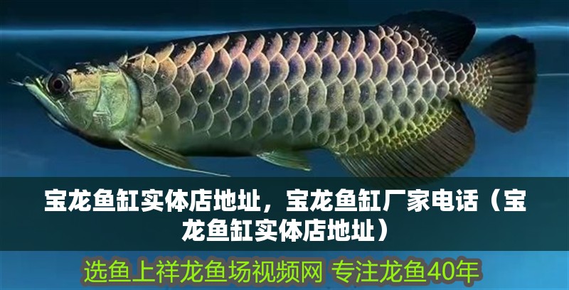 寶龍魚缸實(shí)體店地址，寶龍魚缸廠家電話（寶龍魚缸實(shí)體店地址）