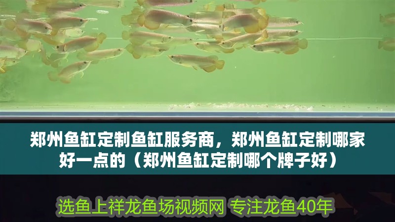 鄭州魚缸定制魚缸服務商，鄭州魚缸定制哪家好一點的（鄭州魚缸定制哪個牌子好）