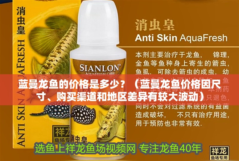 藍曼龍魚的價格是多少？（藍曼龍魚價格因尺寸、購買渠道和地區差異有較大波動） 藍曼龍魚的價格是多少？（藍曼龍魚價格因尺寸、購買渠道和地區差異有較大波動） 觀賞魚百科 第6張