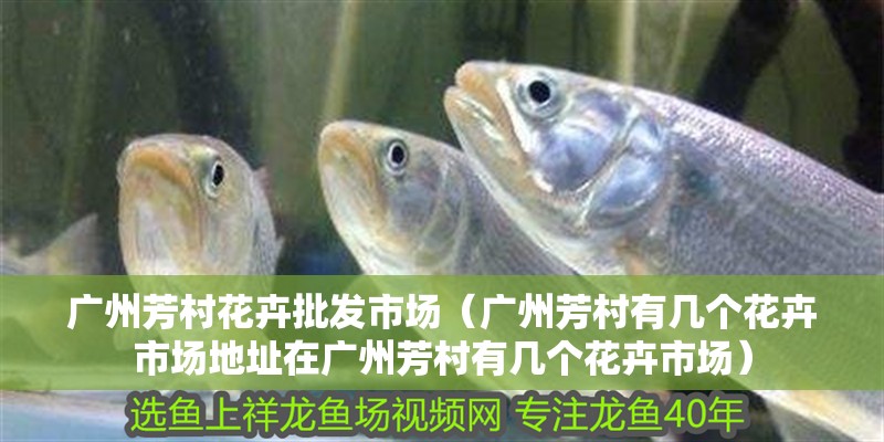 廣州芳村花卉批發市場（廣州芳村有幾個花卉市場地址在廣州芳村有幾個花卉市場）