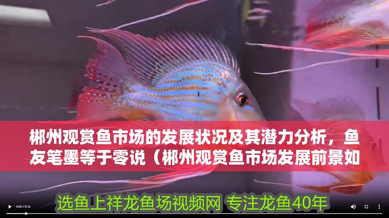 <strong><mark>郴州</mark></strong>觀賞魚市場的發展狀況及其潛力分析，魚友筆墨等于零說（<strong><mark>郴州</mark></strong>觀賞魚市場發展前景如何？）