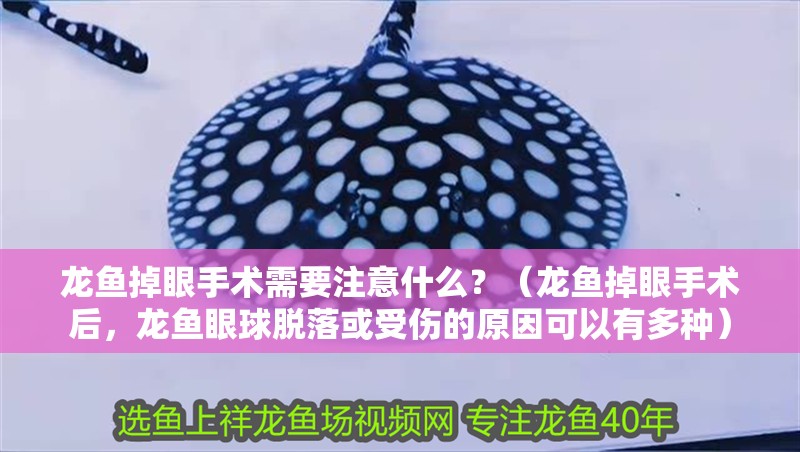 龍魚掉眼手術需要注意什么？（龍魚掉眼手術后，龍魚眼球脫落或受傷的原因可以有多種）
