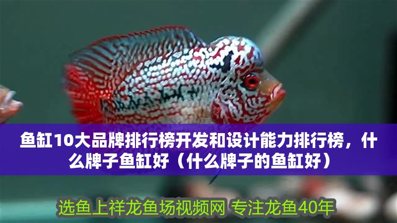魚缸10大品牌排行榜開發和設計能力排行榜，什么牌子魚缸好（什么牌子的魚缸好）