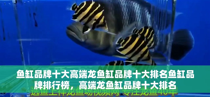 魚缸品牌十大高端龍魚缸品牌十大排名魚缸品牌排行榜，高端龍魚缸品牌十大排名