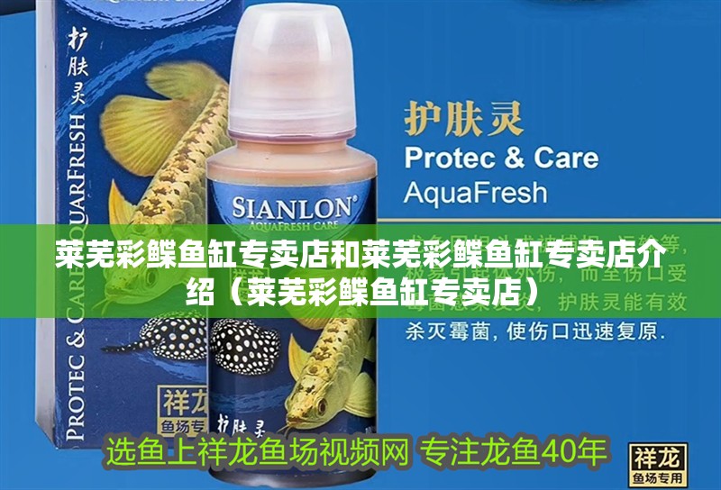 萊蕪彩鰈魚(yú)缸專(zhuān)賣(mài)店和萊蕪彩鰈魚(yú)缸專(zhuān)賣(mài)店介紹（萊蕪彩鰈魚(yú)缸專(zhuān)賣(mài)店） 萊蕪彩鰈魚(yú)缸專(zhuān)賣(mài)店和萊蕪彩鰈魚(yú)缸專(zhuān)賣(mài)店介紹（萊蕪彩鰈魚(yú)缸專(zhuān)賣(mài)店） 觀賞魚(yú)百科