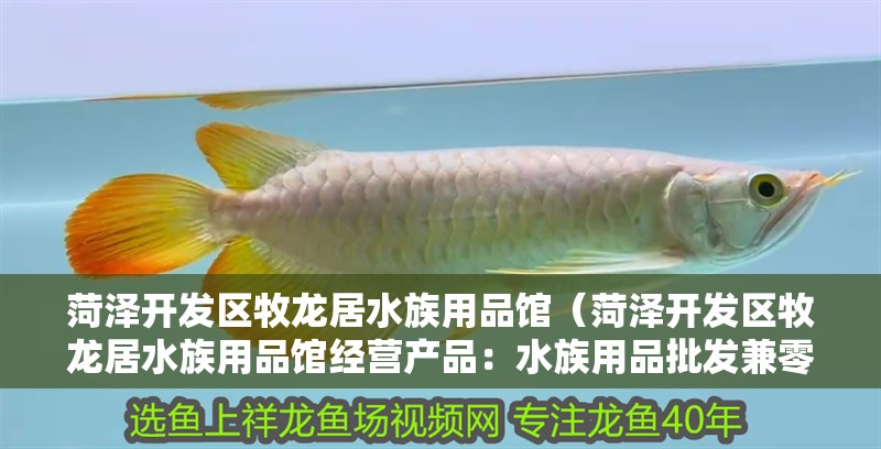 菏澤開發區牧龍居水族用品館（菏澤開發區牧龍居水族用品館經營產品：水族用品批發兼零售）