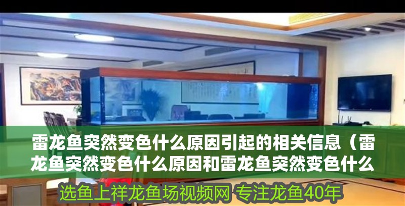 雷龍魚突然變色什么原因引起的相關(guān)信息（雷龍魚突然變色什么原因和雷龍魚突然變色什么原因）