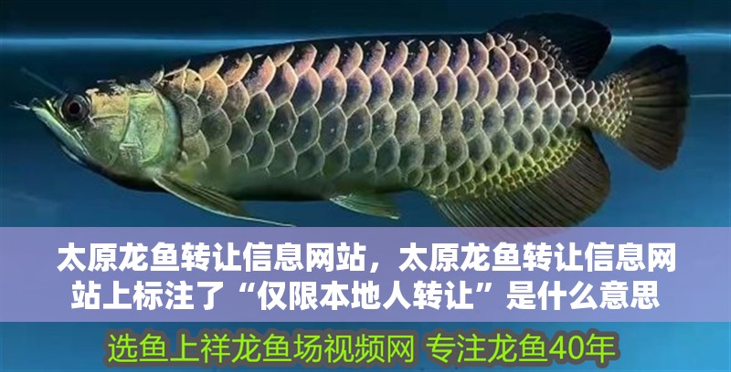 太原龍魚(yú)轉(zhuǎn)讓信息網(wǎng)站，太原龍魚(yú)轉(zhuǎn)讓信息網(wǎng)站上標(biāo)注了“僅限本地人轉(zhuǎn)讓”是什么意思