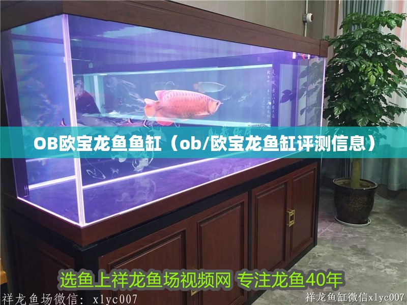 OB歐寶龍魚魚缸（ob/歐寶龍魚缸評測信息）