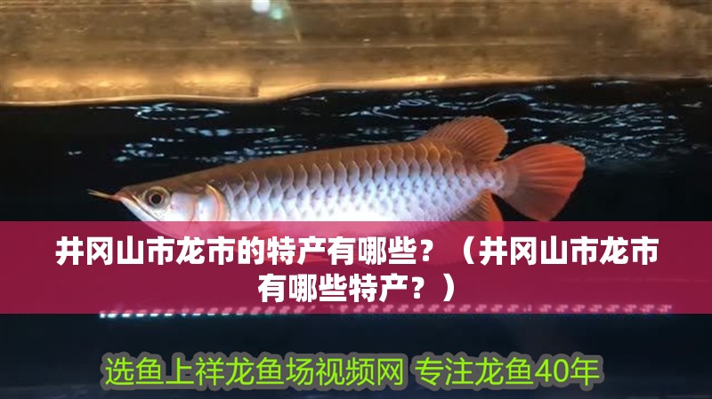 井岡山市龍市的特產(chǎn)有哪些？（井岡山市龍市有哪些特產(chǎn)？）