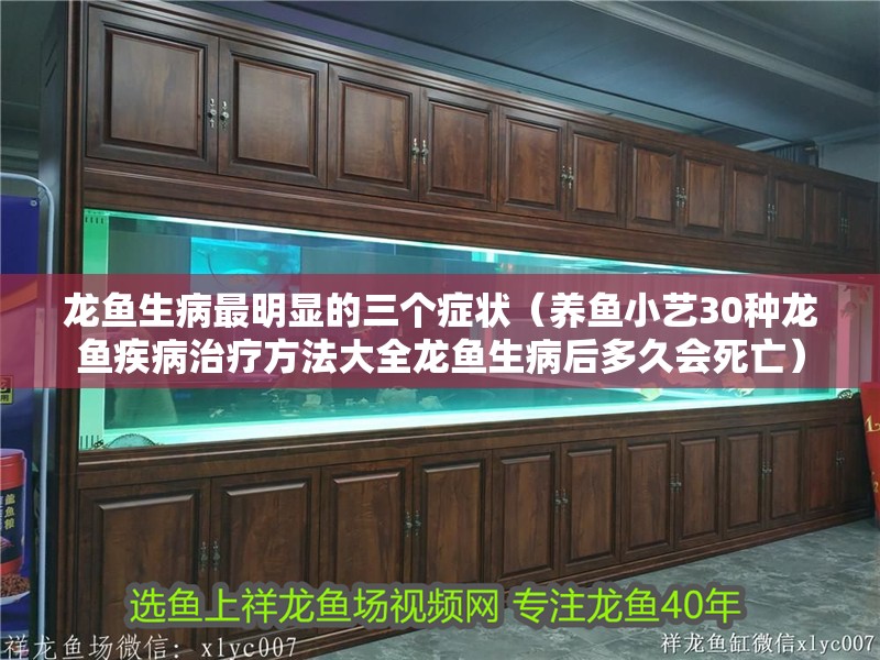 龍魚生病最明顯的三個(gè)癥狀（養(yǎng)魚小藝30種龍魚疾病治療方法大全龍魚生病后多久會(huì)死亡）